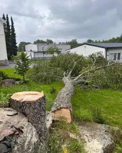 Skog & Trädgård i Väst AB Arborist